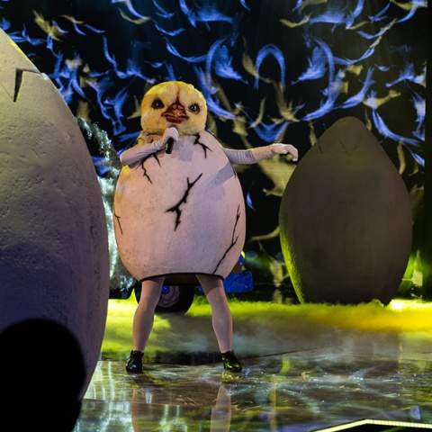 THE MASKED SINGER - S 1