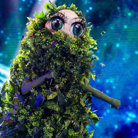 THE MASKED SINGER - S 2